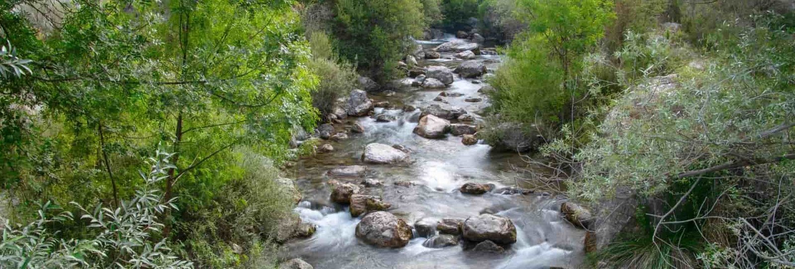 Nature Tour
