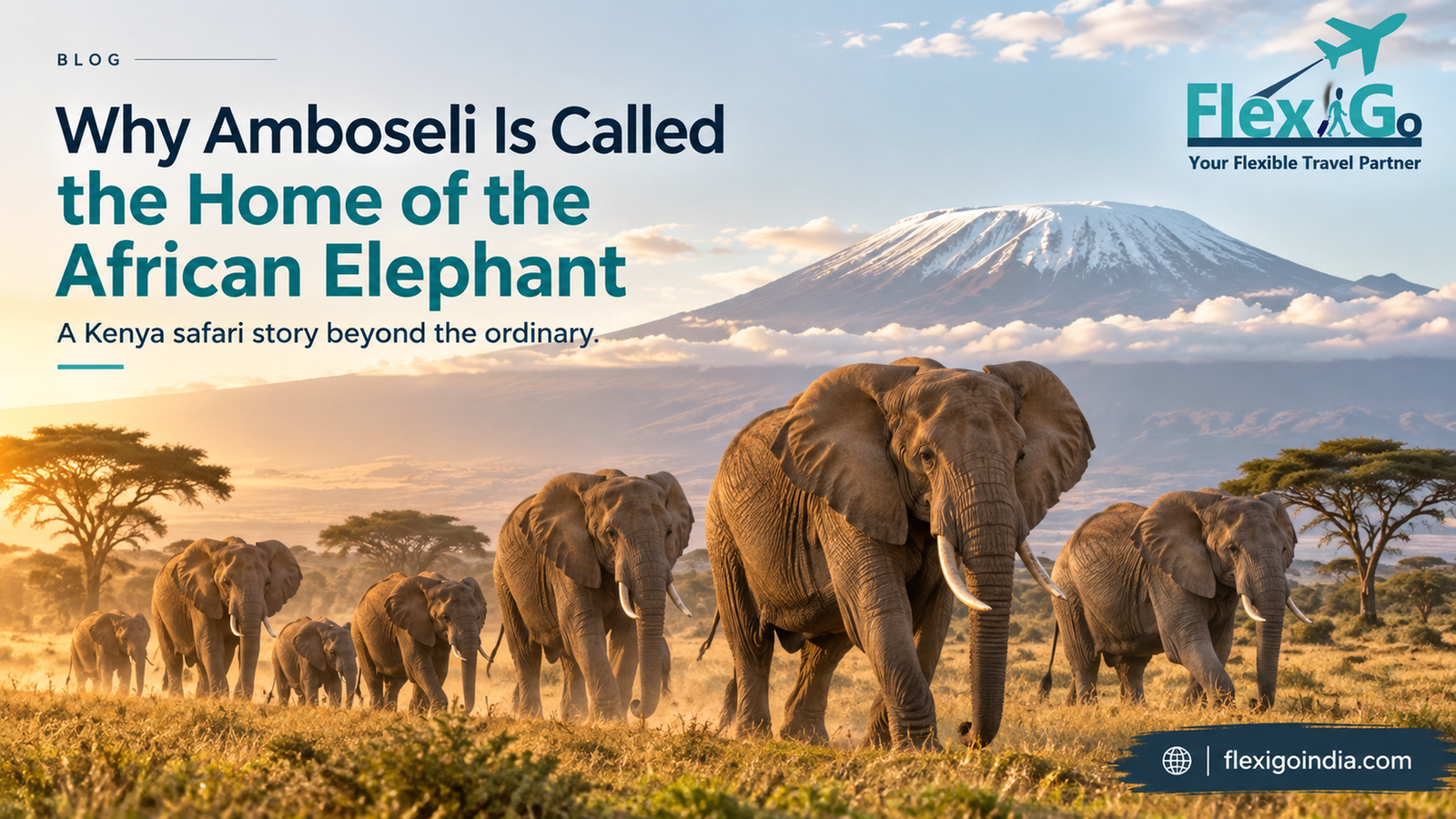 Why Amboseli Is Called the Home of the African Elephant